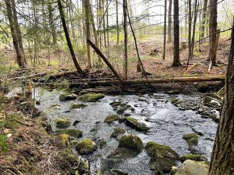 Lot #7 Hammond Brook Road, Monson, ME 04464