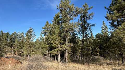 Lot 5 Westwind Drive, Hot Springs, SD 57747