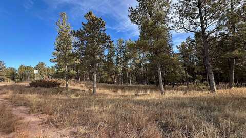 Lot 9 Argyle Road, Hot Springs, SD 57747