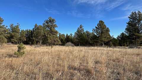 Lot 8 Argyle Road, Hot Springs, SD 57747