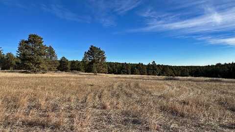 Lot 7 Westwind Drive, Hot Springs, SD 57747