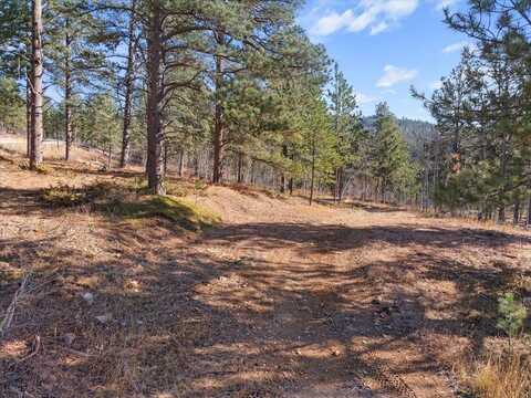 Lot 1 Last Chance Trail, Lead, SD 57754