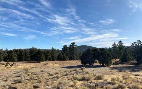 0 Pine Lane, Big Bear City, CA 92314