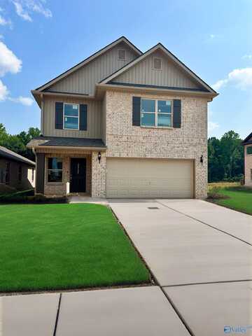 11116 Ravenel Drive, Harvest, AL 35749