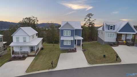 356 Whistling Straits Way, Guntersville, AL 35976