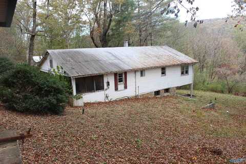 76 High Avenue, Valley Head, AL 35989