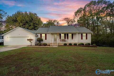 1319 Jacobs Avenue, Bridgeport, AL 35740