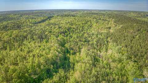 87 Acres Kay Hollis Road, Beaverton, AL 35544