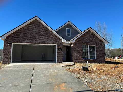 6229 Pisgah Drive, Huntsville, AL 35810