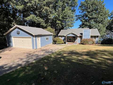 224 Lakeview Drive, Rogersville, AL 35652