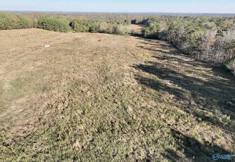 20+/- Acres Pleasant Hill Church Road, Boaz, AL 35956