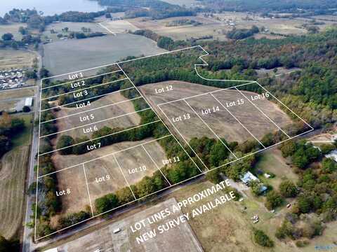 9 Cemetary Road, Langston, AL 35755