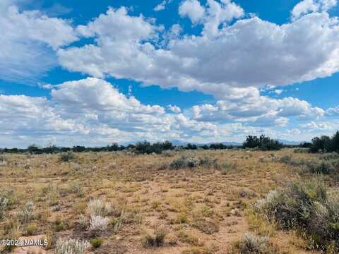 4115 N State Route 64 Road, Williams, AZ 86046
