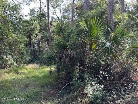 000 PINE Street, Welaka, FL 32193