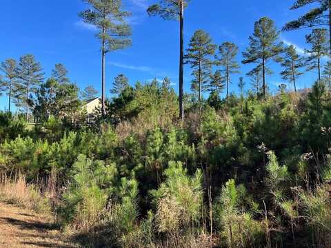 Lot 313 The Cove @ 1300, Blairsville, GA 30512