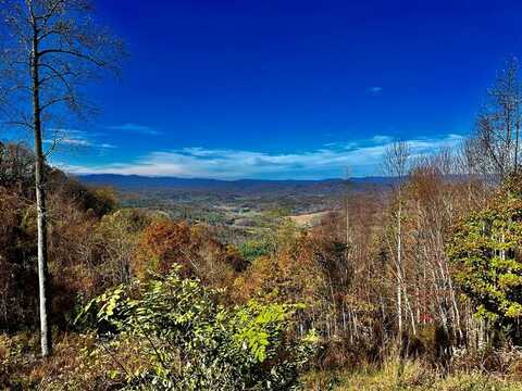 Mason Way, Brasstown, NC 28902