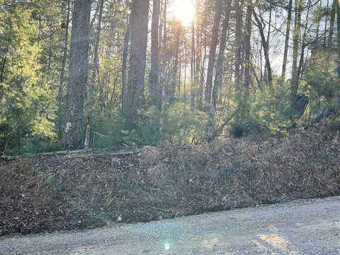 Hale Court, Ellijay, GA 30540