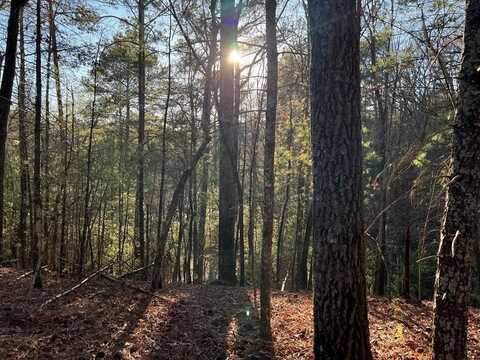 Hale Court, Ellijay, GA 30540