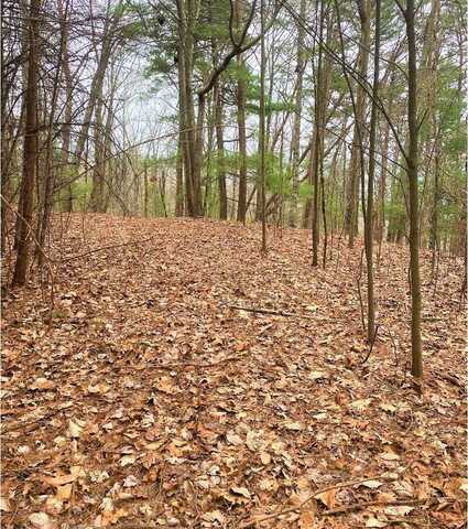 Lot 7 Brushy Top Drive, Ellijay, GA 30705