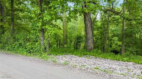 16182 Gunn Road, Lore City, OH 43755