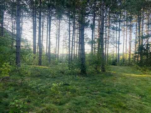 Lot 2 PINE SHORE LANE, Tomahawk, WI 54487