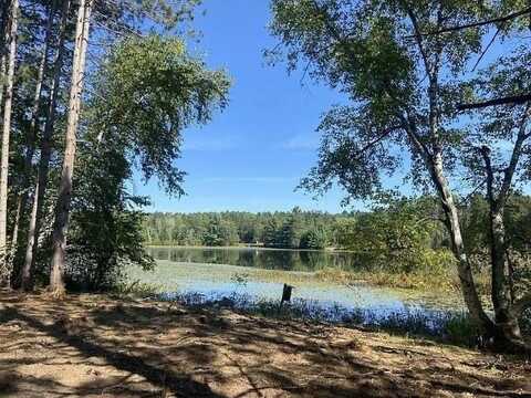 Lot 3 PINE SHORE LANE, Tomahawk, WI 54487