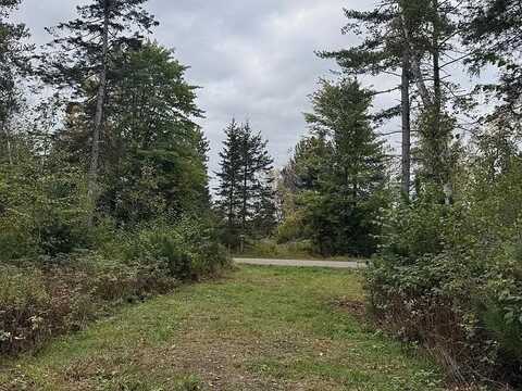 Lot 4 PINE SHORE LANE, Tomahawk, WI 54487