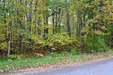 689 White Birch Drive, Houghton Lake, MI 48629