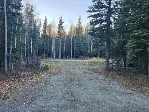 NHN ALYS AVENUE, Delta Junction, AK 99737