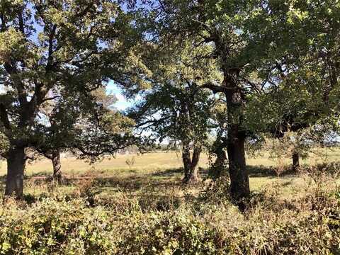 8801 Old Brock Road, Brock, TX 76087