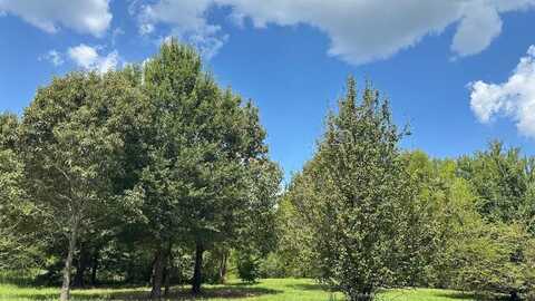 25.96 Ac CR 4885, Winnsboro, TX 75494