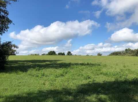 Tbd 19.871 Acres County Road 344 W, Marquez, TX 77865