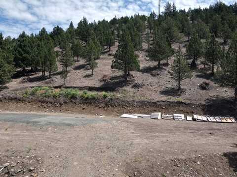 4008 Patterson Dr., Canyon City, OR 97820