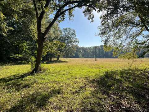 0 Lapine Hwy, Lapine, AL 36046