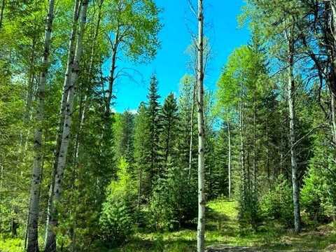 Lot 10 Hidden Meadows Way, Trout Creek, MT 59874