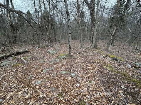 56 B June Dr, Tobyhanna, PA 18466