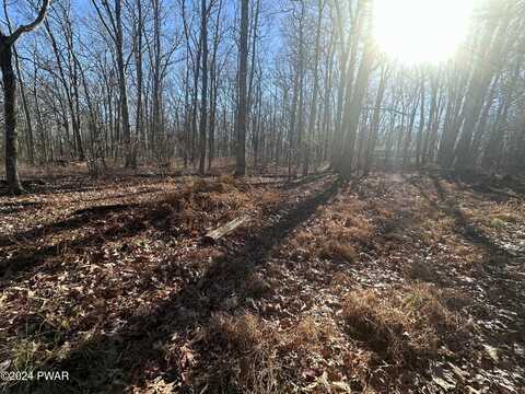 Lot 55 & Tuscarora Court, Beach Lake, PA 18405