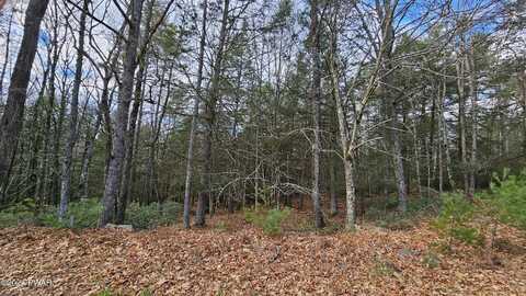 Lot 59 Perry Pond Road, Narrowsburg, NY, NY 12764