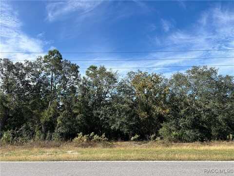 1638 S Rock Crusher Road, Homosassa, FL 34448