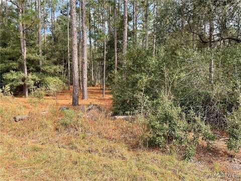 0 SW 59th Lane, Dunnellon, FL 34431