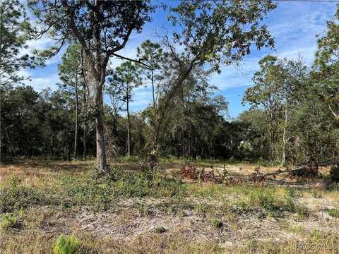 1604 S Rock Crusher Road, Homosassa, FL 34448
