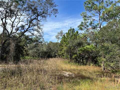 1680 S Rock Crusher Road, Homosassa, FL 34448