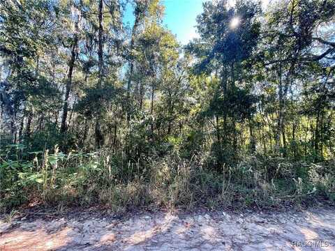 13232 SW 18th Street Road, Ocala, FL 34481