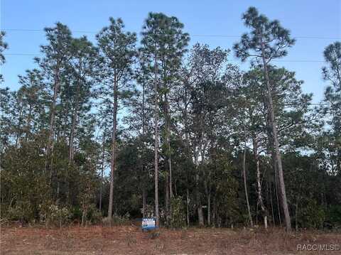 7771 N ring Drive, Citrus Springs, FL 34434