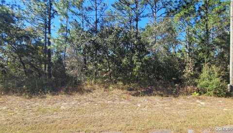 8622 N Empire Avenue, Citrus Springs, FL 34433