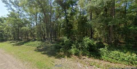 1507 E Derby Drive, Dunnellon, FL 34434