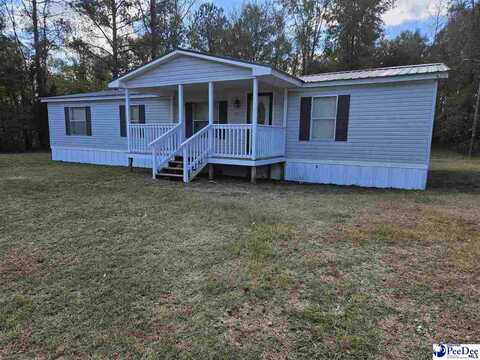 939 Waterway Court, Latta, SC 29565