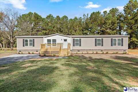 2703 Ballpark Road, Effingham, SC 29541