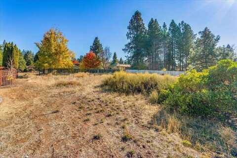 Lot 15 Paul's Place, Mount Shasta, CA 96067