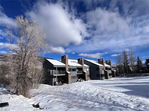 101 BLUE GROUSE LANE, Silverthorne, CO 80498